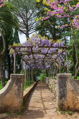 Ravello, Italy. 04-23-2019.  Garden at Villa Cimbrone, Ravello Italy.