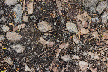 stone texture