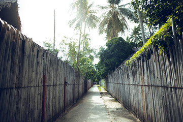 Walkway and Bamboo fence at Railay Beach