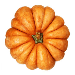 Large round pumpkin