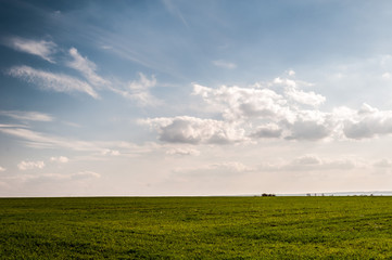 road in the field with a beautiful cloudy sky