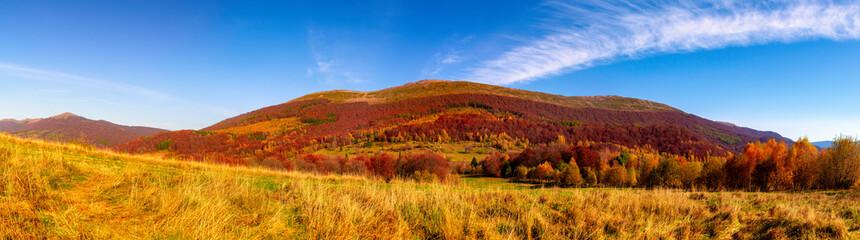Mountain panorama in autumn in the rays of the sunset. Mount Carynska mewdow - Bieszczady National Park - Poland © Ornavi