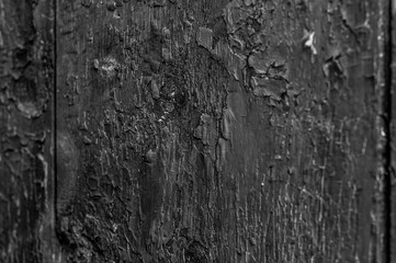 Vintage wood background. old wood