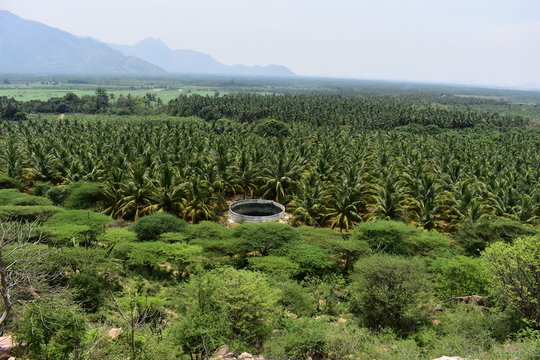 Bodi Mettu - The highest peak in South India