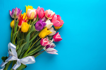 bright spring bouquet of multi-colored tulips on a blue background