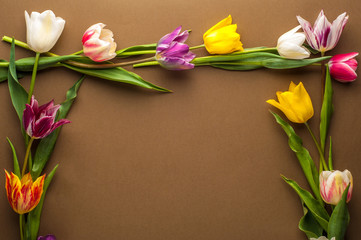 bright spring bouquet of multi-colored tulips on a brown background