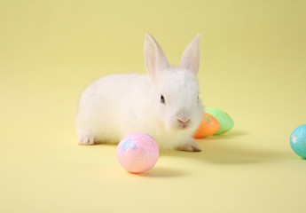 Easter bunny rabbit  with painted egg in the wooden basket on blue background. Easter holiday concept.