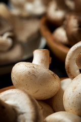Mushrooms close up