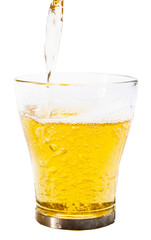 Glass of beer isolated on white