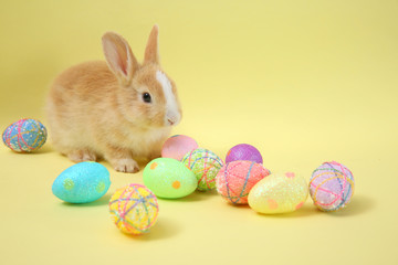 Easter bunny rabbit  with painted egg in the wooden basket on blue background. Easter holiday concept.