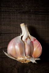 Garlic close up