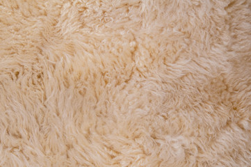 Sheep's wool. Sheep wool texture lamb background