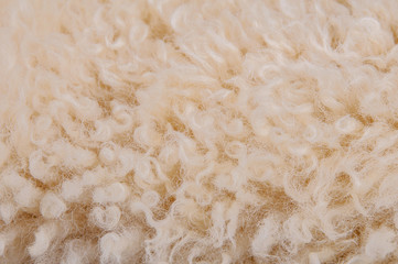 Sheep's wool. Sheep wool texture lamb background