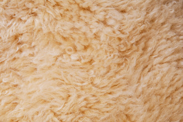 Sheep's wool. Sheep wool texture lamb background