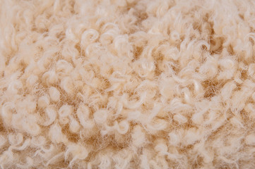 Sheep's wool. Sheep wool texture lamb background