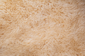 Sheep's wool. Sheep wool texture lamb background