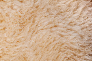 Sheep's wool. Sheep wool texture lamb background