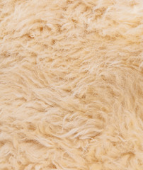 Sheep's wool. Sheep wool texture lamb background