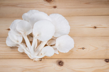 White beech mushrooms isolated on wood background