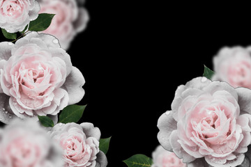 Retro flowers,Vintage Flowers background