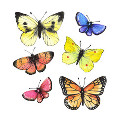 Butterflies. Hand-drawing watercolor. Set insects.
