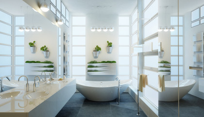Fototapeta na wymiar Contemporary Bathroom Adaptation - 3d visualization