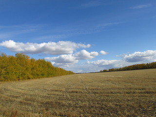 Obraz premium The scope of the field