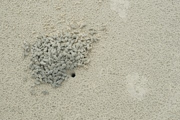 Abstract, Sand texture abstract background, Sandy beach for background, Top view, space for your text, Too soft