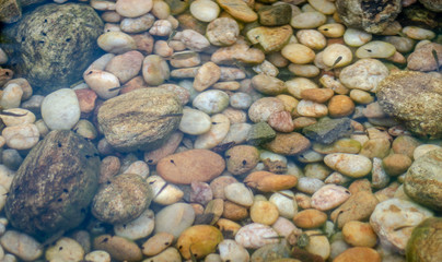 Stone colorful pebble under water with small fish