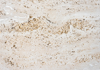 Coquina stone texture or background