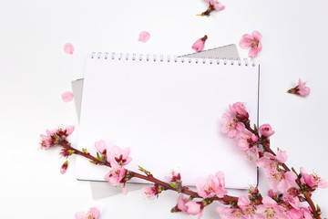 Fototapeta na wymiar mock up notebook and sprigs of the apricot tree with flowers on white background . Place for text. The concept of spring came, happy easter, mother's day.Top view.Flay lay.