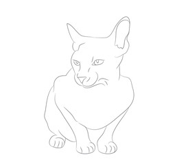 Obraz premium vector illustration cat sitting, drawing lines