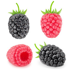 Forest beries, raspberry and blackberry isolated on a white.