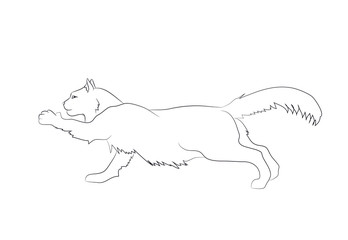 vector illustration of a cat that stretches its paw, drawing lines