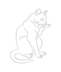 vector illustration of a cat that licks its paw, drawing lines
