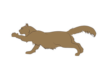 vector illustration of a cat that lapsing a paw, drawing color