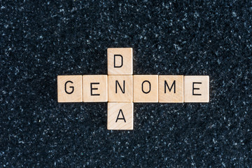 Wood letters forming genome and dna words on a black table