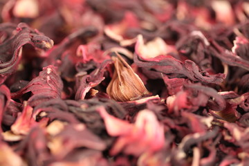 Texture hibiscus sudanese rose petals