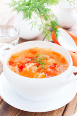 vegetable soup with onions and cabbage for onion diet in a white bowl, selective focus