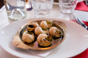 snails © SzokArt