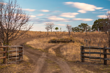 Country agricultural and farming field.