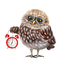 Sleepy owl with red alarm clock. Hand drawn watercolor - 269346964