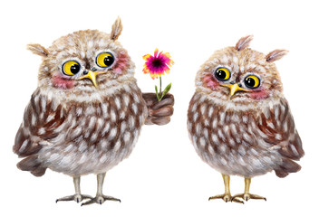 Funny owls in love. Hand drawn watercolor - 269346997