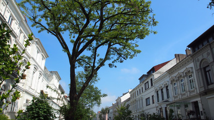 Bremen: Grünes Ostertorviertel