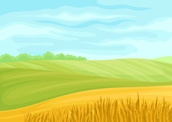 Beautiful landscape of green and yellow fields. Vector illustration on white background.
