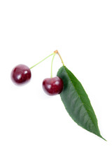 Sweet cherry isolated on a white background..