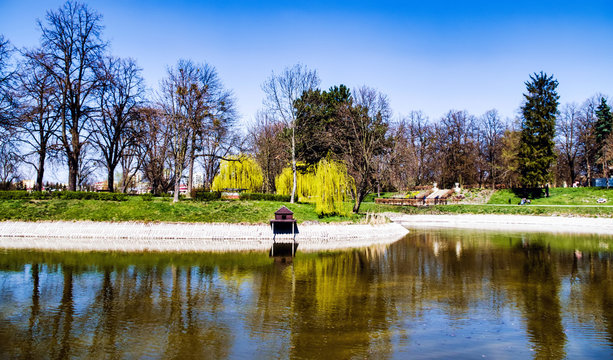 Lake in the Park