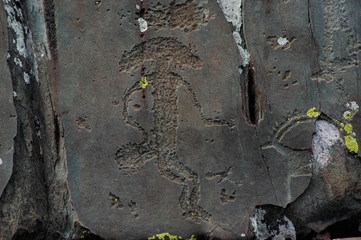 Ancient petroglyphs on stone