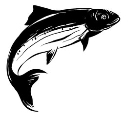 Hand drawn and silhouette salmon fish