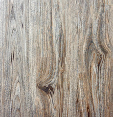 The texture of the wood. Paul. maple